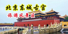 中国美女操逼网站中国北京-东城古宫旅游风景区